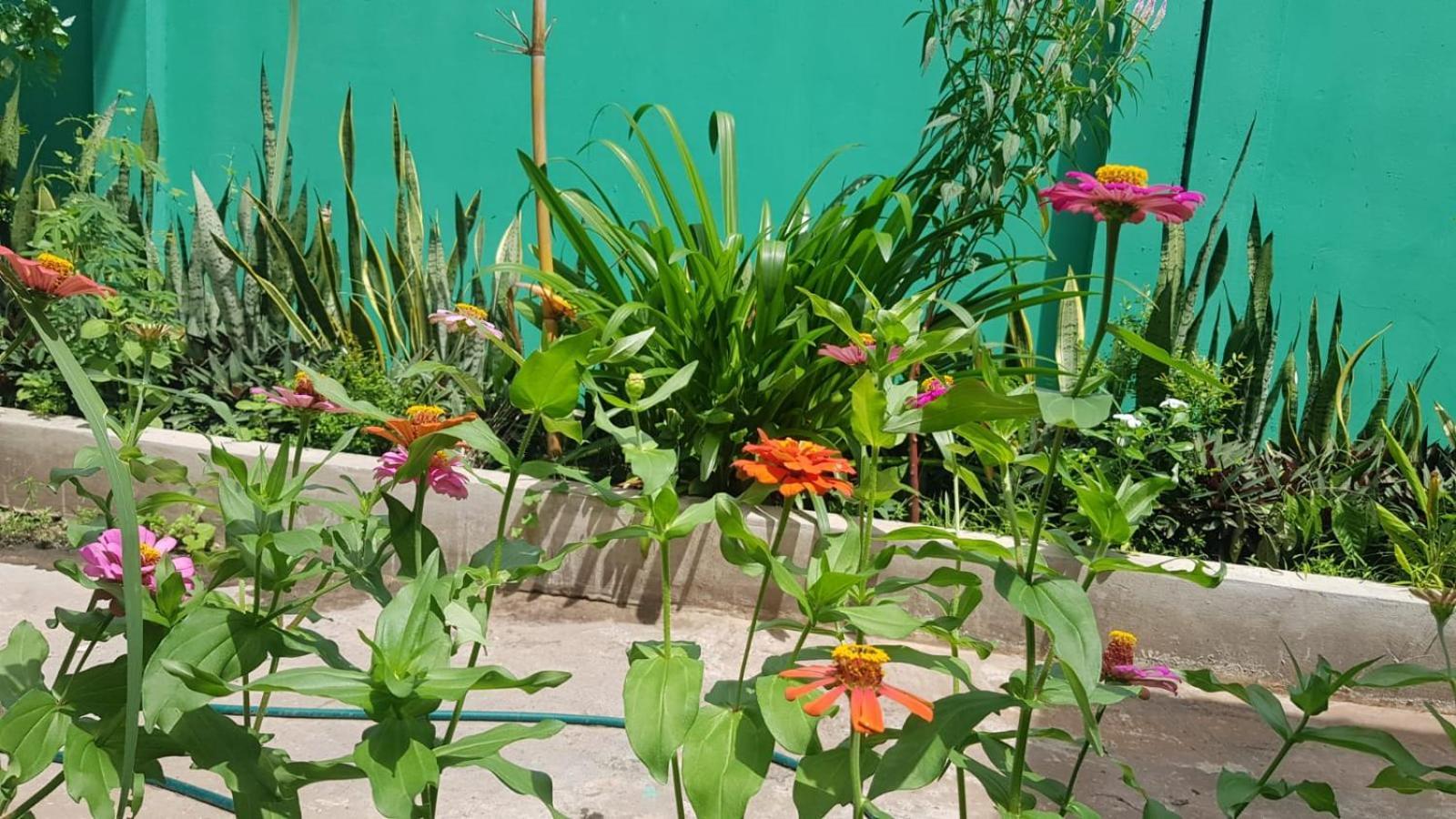 Bloom Garden Bed & Breakfast Siem Reap Exteriér fotografie
