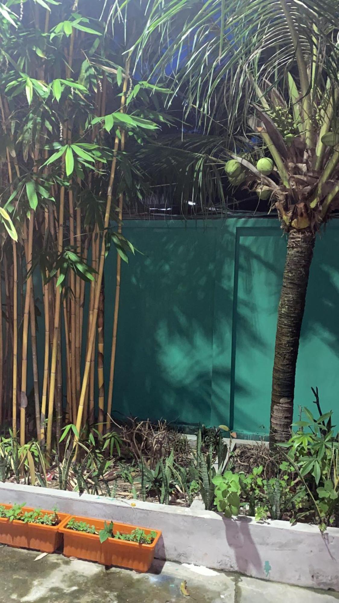 Bloom Garden Bed & Breakfast Siem Reap Exteriér fotografie