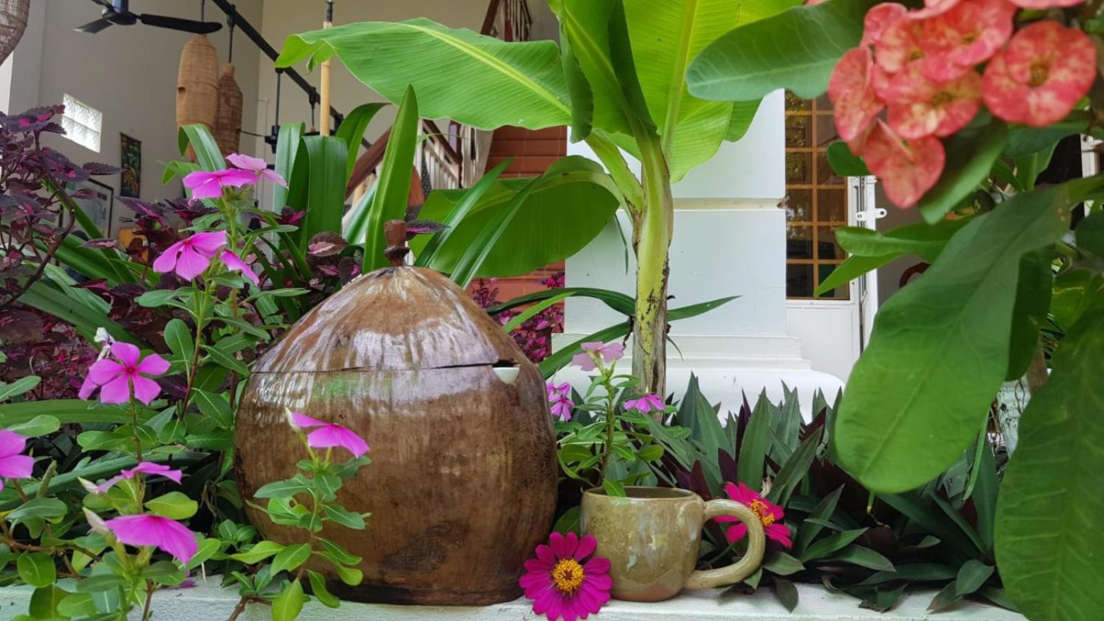 Bloom Garden Bed & Breakfast Siem Reap Exteriér fotografie