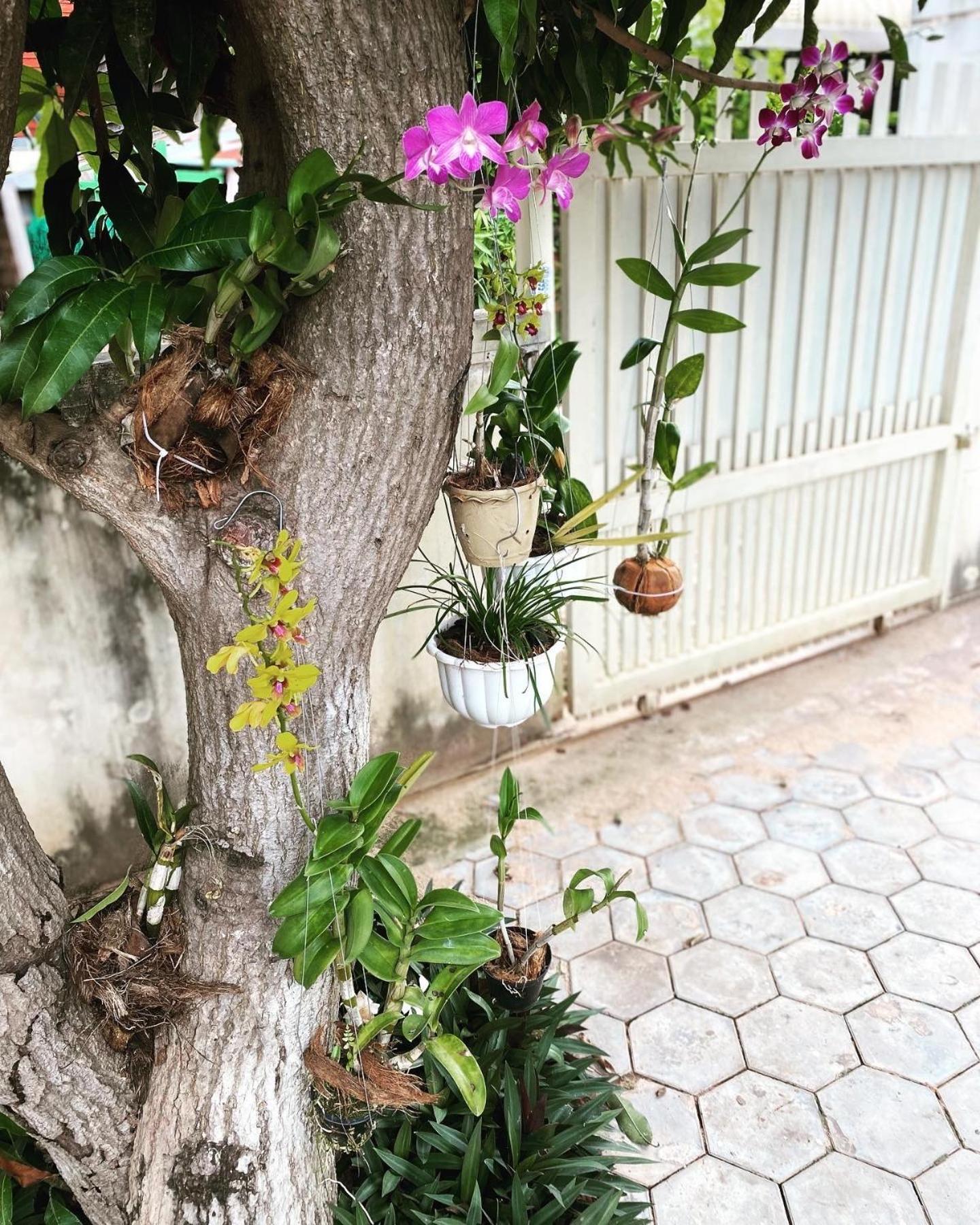 Bloom Garden Bed & Breakfast Siem Reap Exteriér fotografie